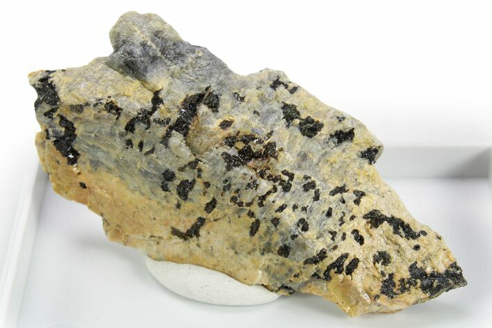 Adularescent Anorthoclase Moonstone Specimen - Norway #380386